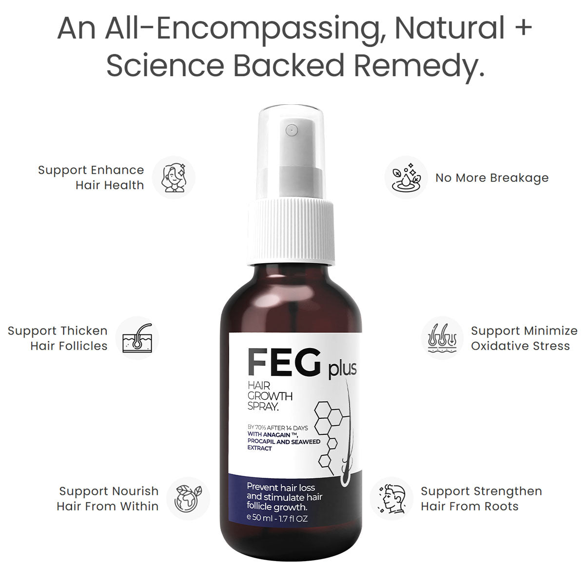 feg plus