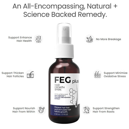 feg plus